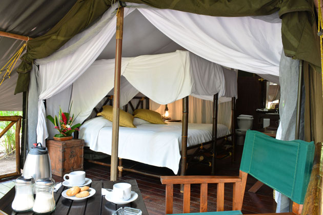 Glamping Suite