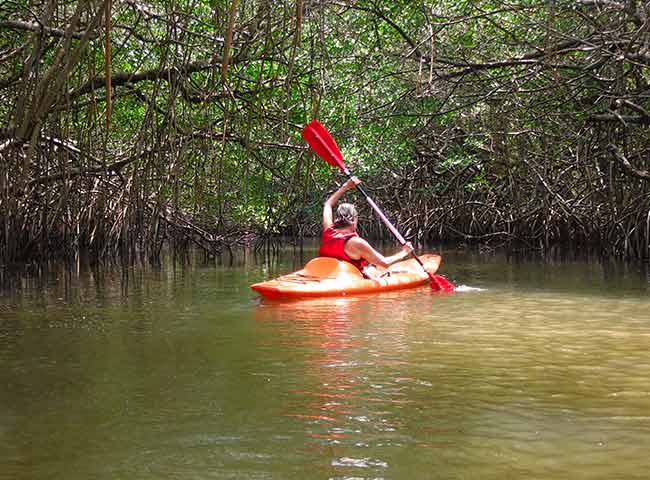 Kayak-5