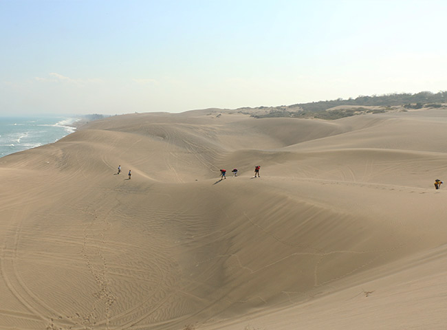 Sandboarda-Dunas