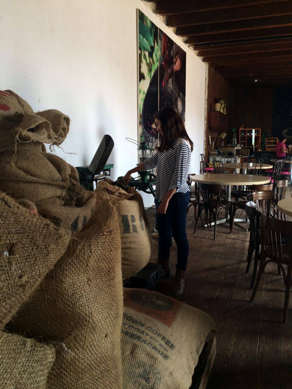 Tour-senderos-del-café-1