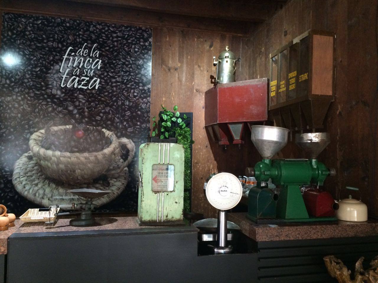 Tour-senderos-del-café-2