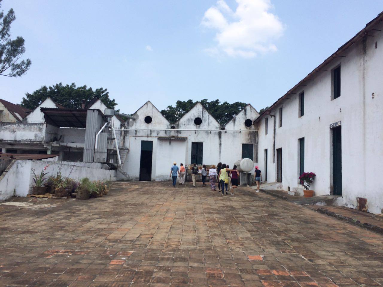 Tour-senderos-del-café-7