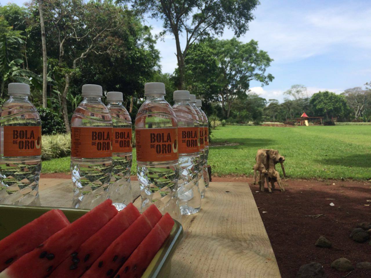 Tour-senderos-del-café