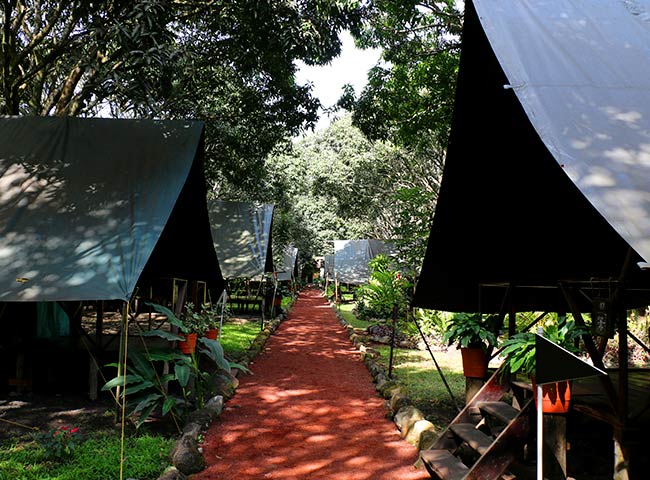 entrada-safari